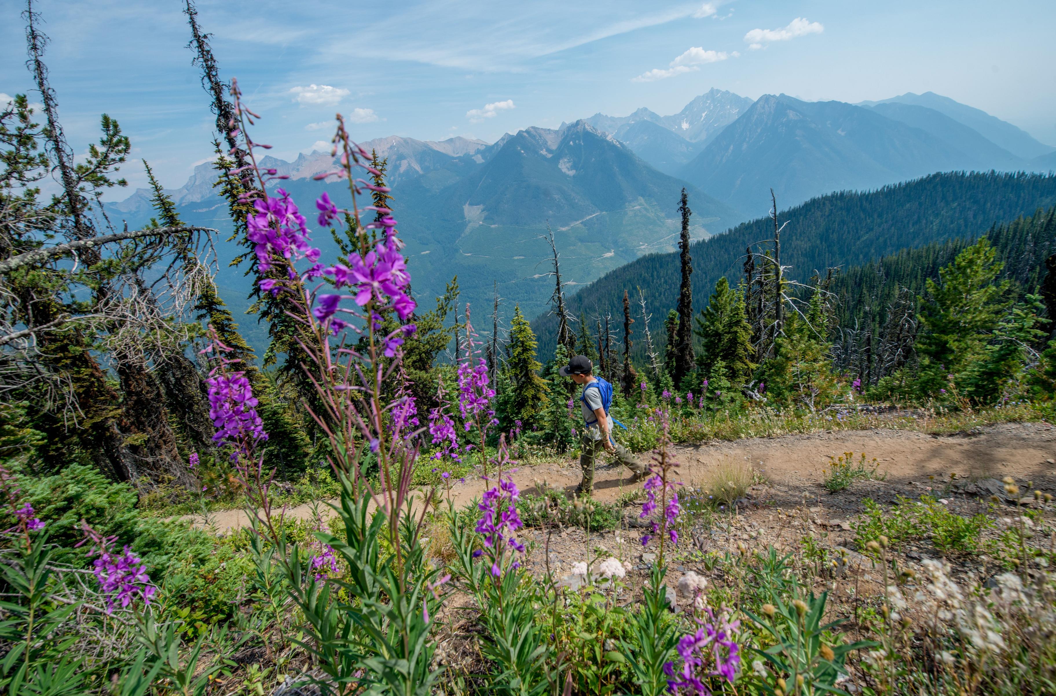 Lakit Mt Hike